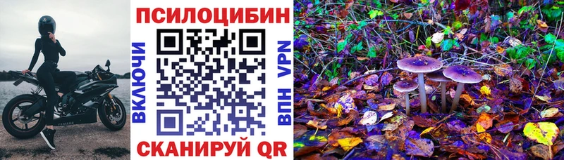 где купить   Ливны  Псилоцибиновые грибы прущие грибы 